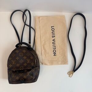 Louis Vuitton Palm Springs Mini Backpack in Monogram